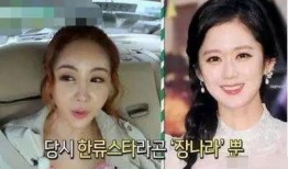 网红爆料女明星视频,真相揭秘引热议